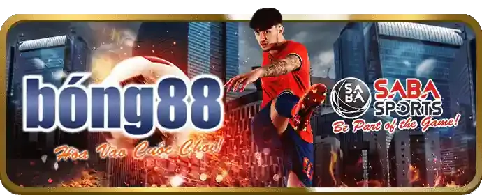 Tối đa hóa lợi ích VIP